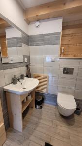 a bathroom with a sink and a toilet at Piernikowa Chata in Zawoja +8 photos