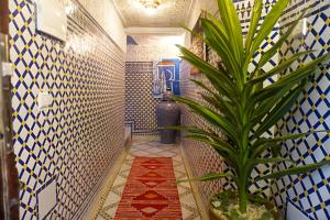 a bathroom with a potted plant and a tile floor at Riad Dar Salma in Fès