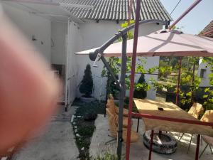 Κήπος έξω από το Cezar Slavko Vesna