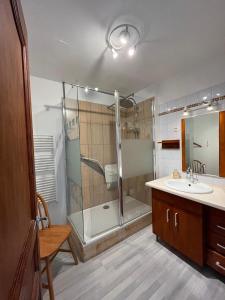 a bathroom with a shower and a sink at Maison Charentaise 12 à 14 personnes in Sémussac +7 photos