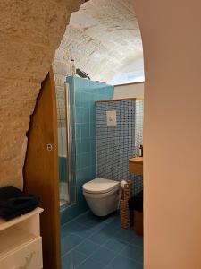 莫拉-迪巴里Casa Mola di Bari的带马桶和淋浴的浴室