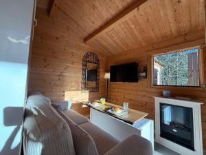 Una sala de estar con un sofá y un televisor en una habitación. en Chalet d hiver, en Millau