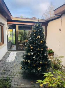 a christmas tree in the yard of a house at Maison MidCentury chaleureuse proche centre-ville in Strasbourg
