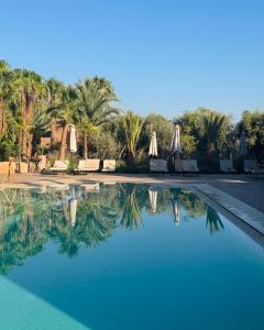 a swimming pool with chairs and umbrellas and palm trees at Le mas de l'Ourika, maison d'hôtes in Aït Zat