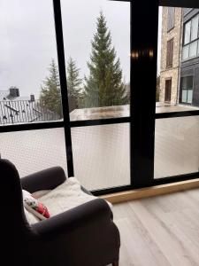 un soggiorno con un divano e una grande finestra di Apartamento La Pinada a Tramacastilla de Tena Altre 22 foto