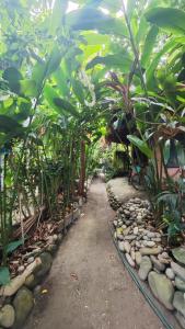 Galeriebild der Unterkunft Guatiguara Dónde Orlando in Buritaca