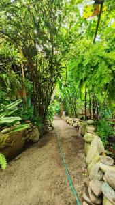 un sentiero in un giardino con un tubo verde di Guatiguara Dónde Orlando a Buritaca