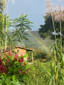 un arcoiris frente a una casa con arboles en Camelia Hostel, en San Carlos 3 fotos más