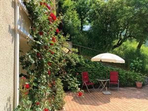 施瓦格明德Haus Haselmaus - Zaunkönig的两把椅子和一把遮阳伞靠着一面种满玫瑰的墙。