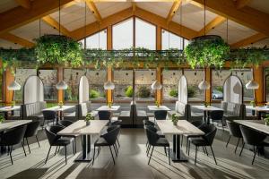 Εστιατόριο ή άλλο μέρος για φαγητό στο Hotel Leul de Aur