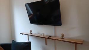 リンツにあるHONOR - Nestの壁に掛けられたテレビと棚の上に置かれた2羽の鳥