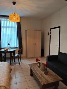 里姆斯特De Smokkelhoeve的客厅里有一张沙发和一张桌子。