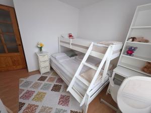 Cette chambre comprend 2 lits superposés et des toilettes. dans l'établissement Apartament Abby, à Sighişoara