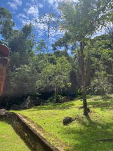 ein Baum mitten auf einem Grasfeld in der Unterkunft Sítio com água mineral, rio e cachoeira in Rio Bonito