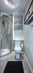 ein Badezimmer mit Glasdusche und Toilette in der Unterkunft Staszica Starówka in Olsztyn + 38 Fotos