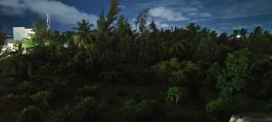 a view of a forest of trees at night at The Bro's code in Puducherry