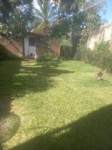 O grădină în afara Alojamiento Luisito