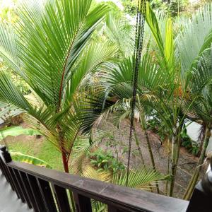 huśtająca się ławka przed palmami w obiekcie Villa Tropi Lanka w mieście Unawatuna