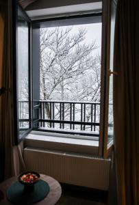 亚霍里纳Apartmani Ambar的窗户享有雪覆盖的树景