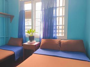 a blue room with two beds and a window at A-Seven House Sagada in Sagada