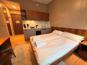 Η κουζίνα ή μικρή κουζίνα στο Amaroo - Apartments "Regia" +8 φωτογραφίες