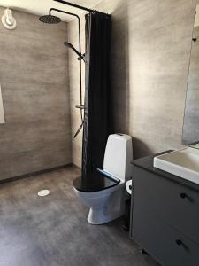 a bathroom with a toilet and a sink at Stuga utanför Skövde 2 in Skövde