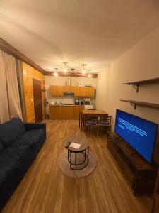 博格塔塞斯特雷Borgata sestriere的配有沙发和大屏幕电视的客厅