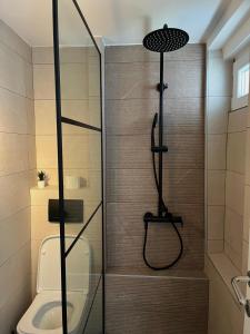 a shower in a bathroom with a toilet at City Loft in Belgrade