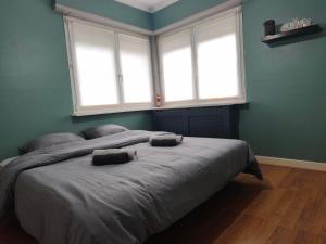 a bedroom with a bed with two pillows on it at S'heimet Hüüs in Colmar