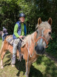 Animale la sau în apropiere de acest apartament