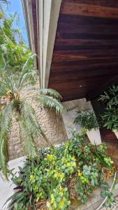 Foto sihtkohas Niterói asuva majutusasutuse Tranquility and leisure in an admirable city galeriist