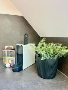 Fotografie z fotogalerie ubytování Loft am Rebhügel-modern wohnen in den Weinbergen v destinaci Bühl + 7 fotografií