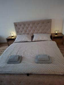 罗日尼亚瓦Apartmán Zuzka Rožňava的一间卧室，有一张大床，上面有两个枕头