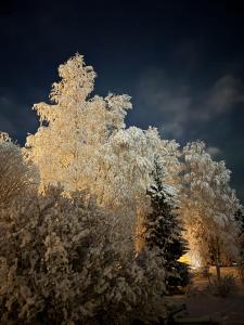 Φωτογραφία από το άλμπουμ του Aurora Cozy Studio στο Ροβανιέμι