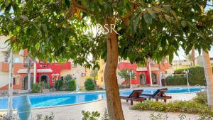a resort with a swimming pool with benches next to a tree at Green Garden Resort in Hurghada