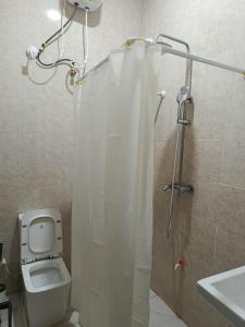 Un baño con ducha, inodoro y lavabo. en Private home with short lets, en Uyo