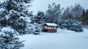 NielbarkBiały Domek Nielbark - Agroturystyka的一座位于白雪覆盖、树木繁茂的院子里的凉亭