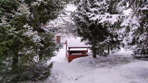 NielbarkBiały Domek Nielbark - Agroturystyka的白雪皑皑的森林里，一张长椅被雪覆盖着。