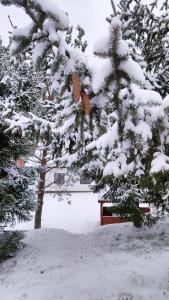 Το Biały Domek Nielbark - Agroturystyka τον χειμώνα