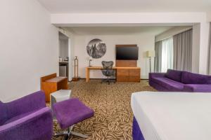 Televiisor ja/või meelelahutuskeskus majutusasutuses Krystal Urban Monterrey San Jeronimo