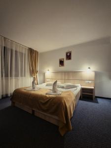un dormitorio con una cama grande en una habitación en Hotel Claris, en Văliug