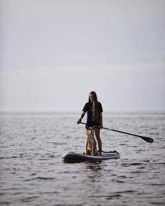 コンコンにあるTrimar Hotelの水の中のパドルボードに乗った女性と犬 +31枚の写真