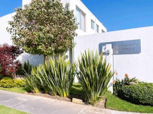 Vườn quanh Modern house with garden and pool