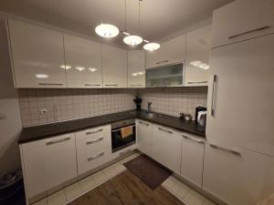 Η κουζίνα ή μικρή κουζίνα στο Modern flat in city center +4 φωτογραφίες