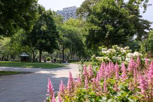 a park with pink flowers and trees at The Founders Suite Residence in Philadelphia