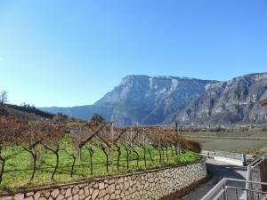 a vineyard with a mountain in the background at L'Ora del Bianco in Nave San Felice