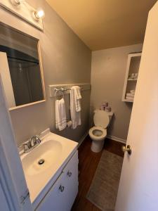 ein Badezimmer mit Waschbecken und Toilette in der Unterkunft Elizabeth Ave Apartments - Loft Apartment in St. John's