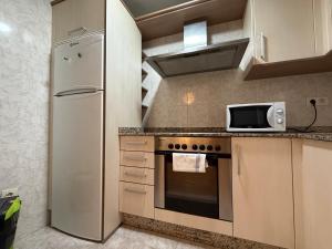 a kitchen with a refrigerator and a microwave at SP 64 Vut in Lugo