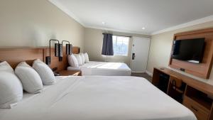 a hotel room with a bed and a flat screen tv at Border Plaza Hotel in San Diego