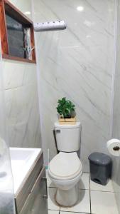 bagno con servizi igienici e pianta in vaso. di Cozy Studio Rohrmoser a San José